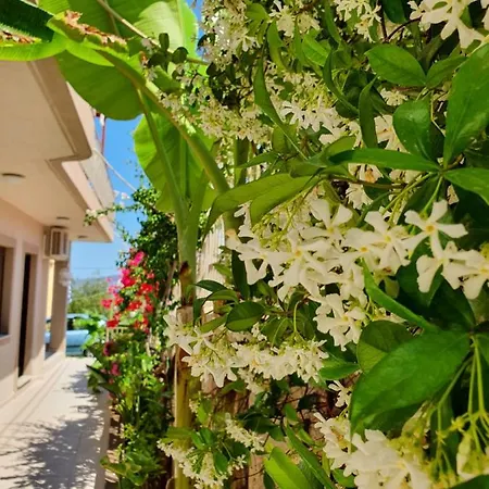 Helen Of Troy House Casa de Férias