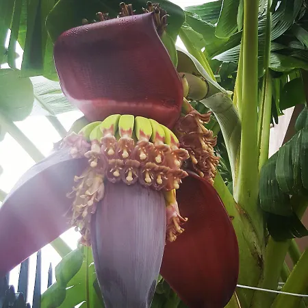 Helen Of Troy House * Loutra Oraias Elenis