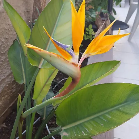 Helen Of Troy House * Loutra Oraias Elenis