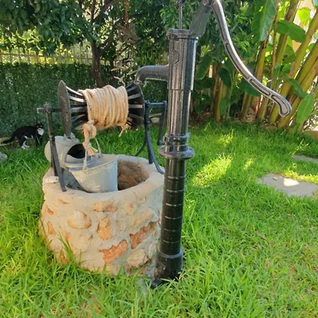 Helen Of Troy House *