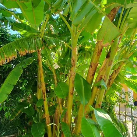 Helen Of Troy House * Лутра-Ореас-Эленис