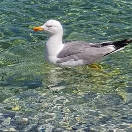 Helen Of Troy House Дом отдыха *