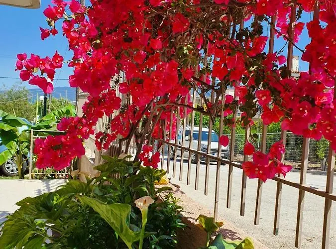 Helen Of Troy House Дом отдыха *