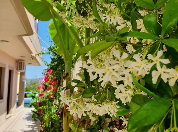 Helen Of Troy House 別荘