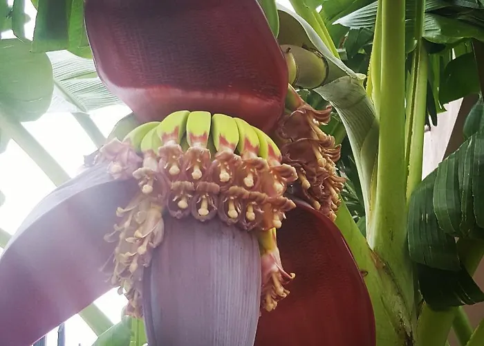 Helen Of Troy House * Loutra Elenis