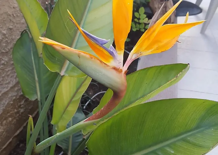 Helen Of Troy House * Лутра-Ореас-Эленис