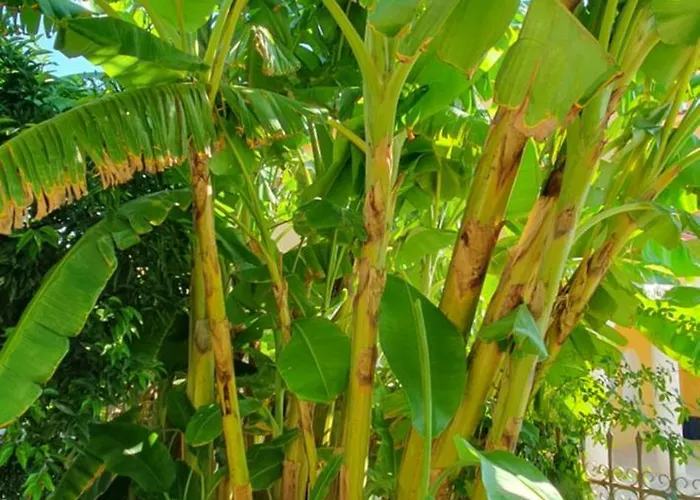 Helen Of Troy House * Loutra Elenis