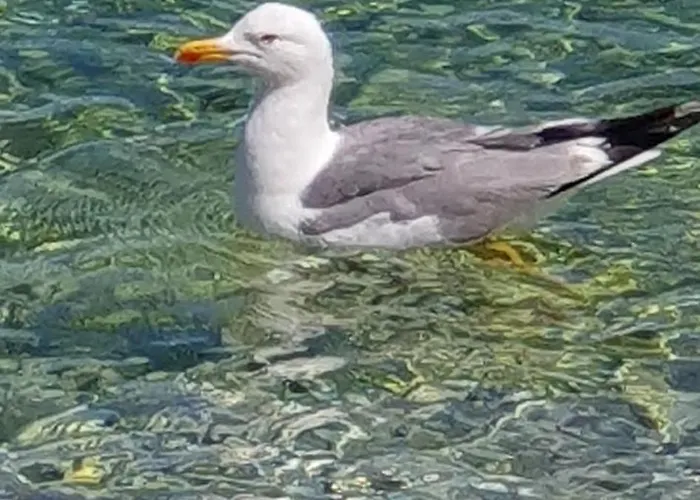 Helen Of Troy House Ferienhaus *