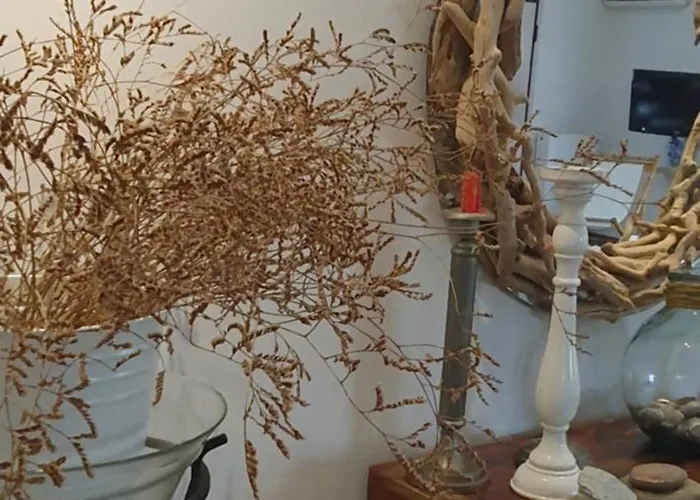 Helen Of Troy House *